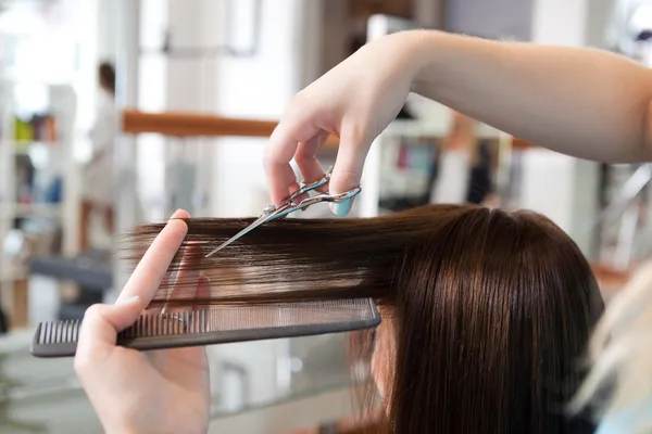 Tendances coiffure